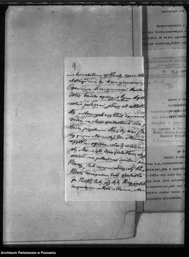 Obraz 13 z jednostki "Rekwizycje koni"