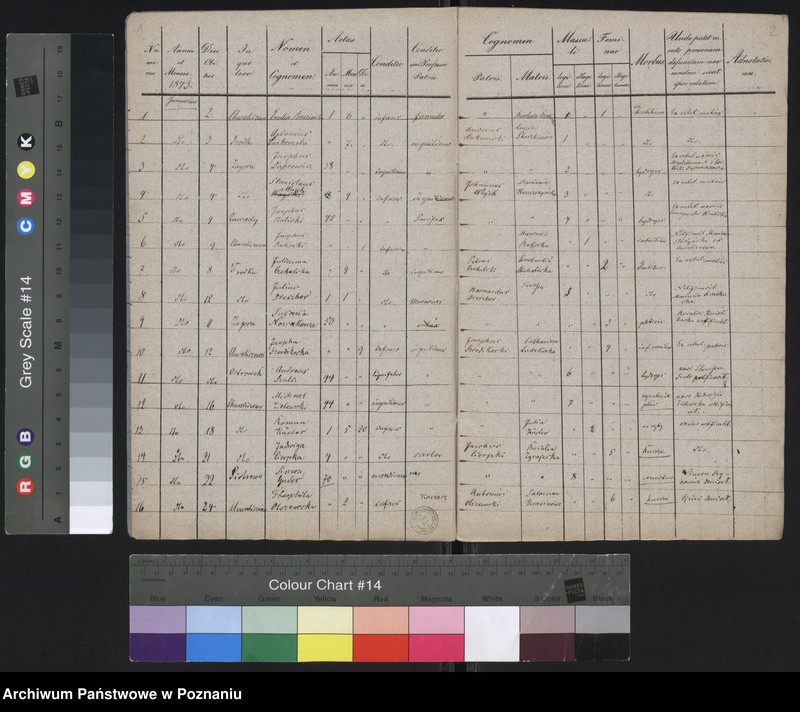 Obraz 3 z jednostki "Spis zgonów"