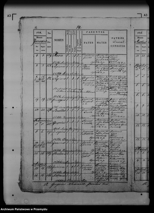 Obraz 20 z jednostki "[Kopie ksiąg metrykalnych parafii Dziewięcierz (dekanat Rawa Ruska)]"