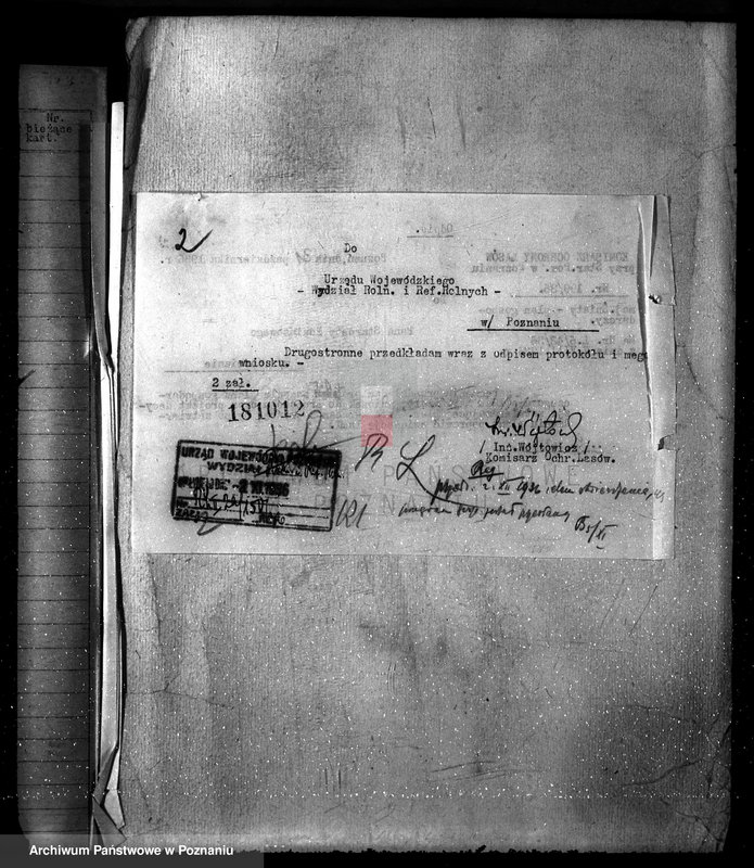 Obraz 6 z jednostki "Las majętność Śniaty powiat kościański"