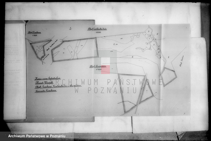 Obraz 6 z jednostki "Zestawienie parcel do przymusowego wykupu na rok 1938 z majątku Liszkowo powiatu Wyrzysk"