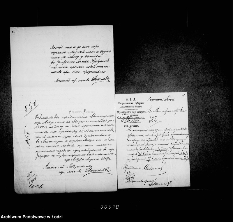 Obraz 15 z jednostki "O gorodskich lesach"