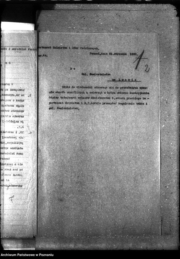 Obraz 6 z jednostki "Sprawy ogólne Wykazy chorób zaraźliwych; [księgosusz, zaraza płucna]"