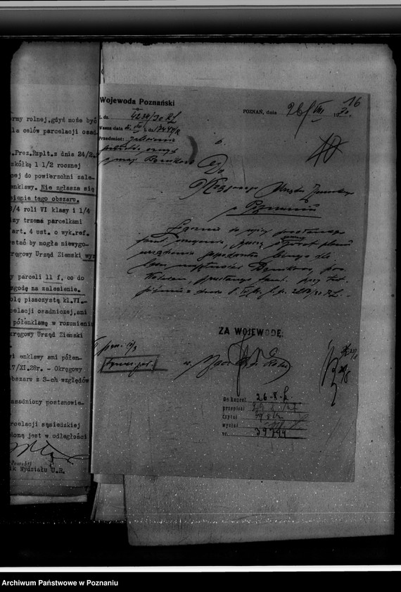 Obraz 20 z jednostki "Majętność leśna Bonikowo powiat kościański"