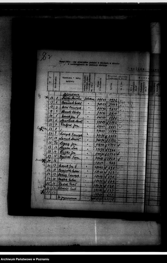 Obraz 12 z jednostki "Operat szacunkowy Dziembowo-Byszki powiat chodzieski"