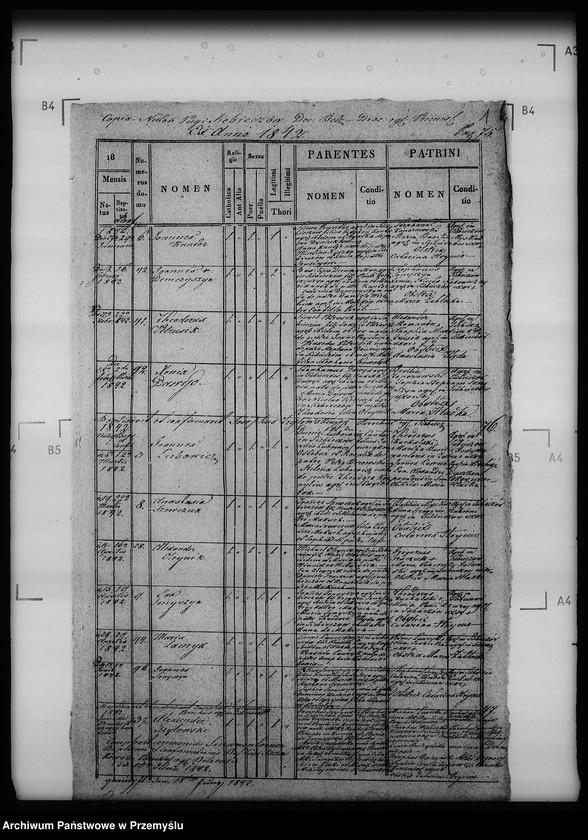 Obraz 5 z jednostki "[Kopie ksiąg metrykalnych parafii Siebieczów z filiami Leszczaków, Piwowszczyzna, Rusin, Wierzbiąż (dekanat Bełz)]"