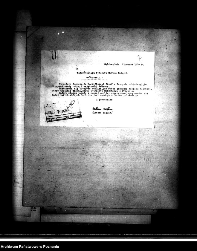 Obraz 11 z jednostki "Majątek Różanna powiatu mogileńskiego parcelacja"