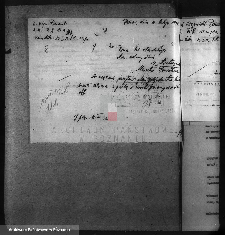 image.from.unit.number "Nadzór nad gospodarką w lasach miasta Ostrowa"