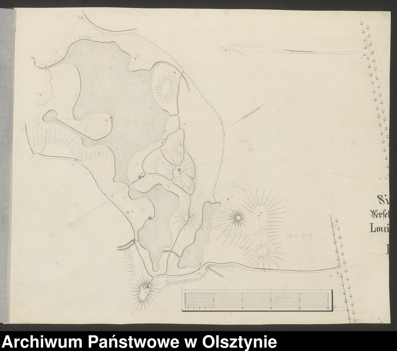 image.from.unit.number "[Projekt parku w Pielach, pow. Braniewo]"