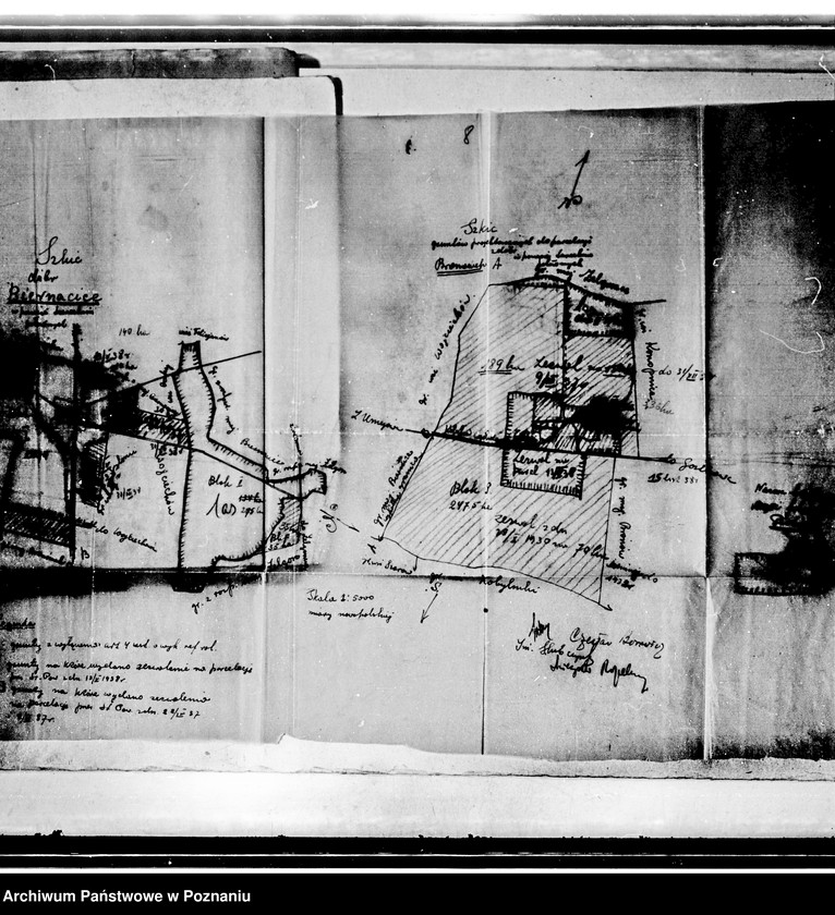 Obraz 12 z jednostki "Przymusowy wykup majątku Biernacice powiatu tureckiego"