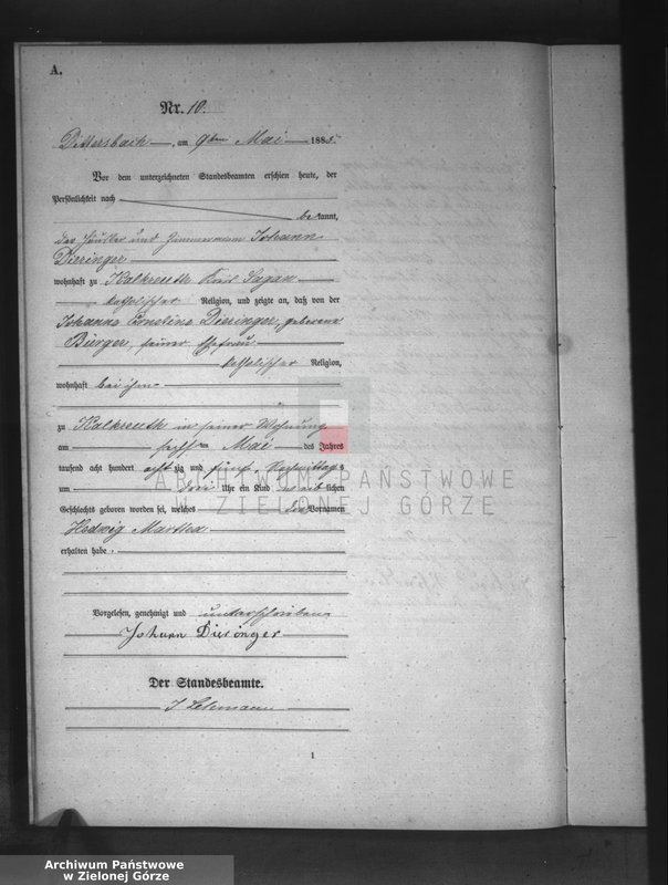 Obraz 13 z jednostki "[Księga aktów urodzeń]"