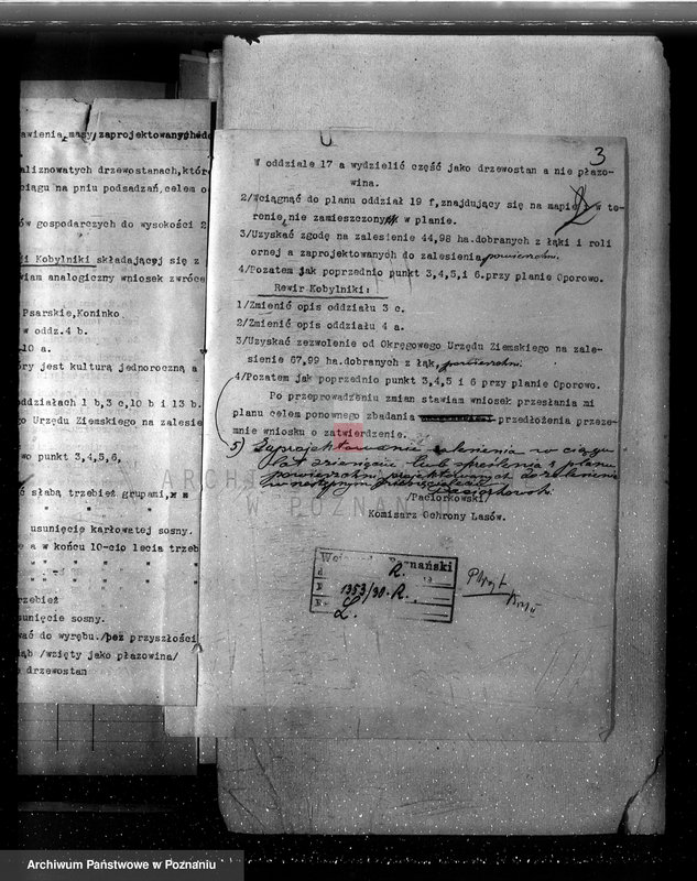 Obraz 7 z jednostki "Nadzór nad gospodarką w lasach majętności Kobylniki powiat kościański"