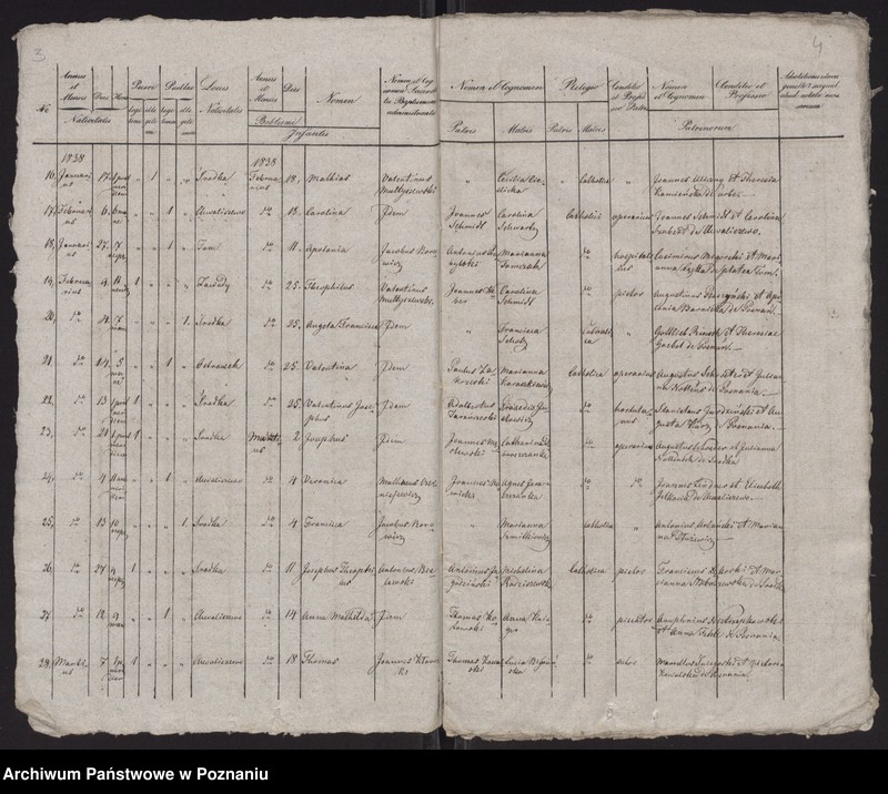 Obraz 4 z jednostki "Spis urodzeń"