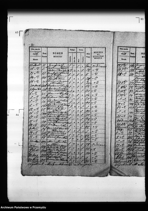 Obraz 18 z jednostki "[Kopie ksiąg metrykalnych parafii Trościaniec (dekanat Niemirów)]"