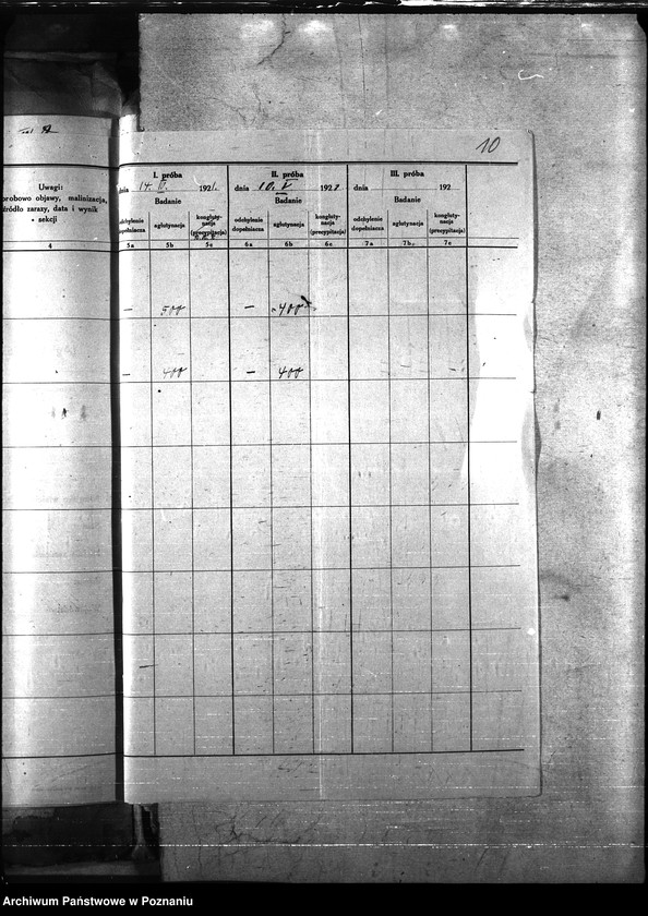 Obraz 14 z jednostki "Nosacizna - Pleszew"