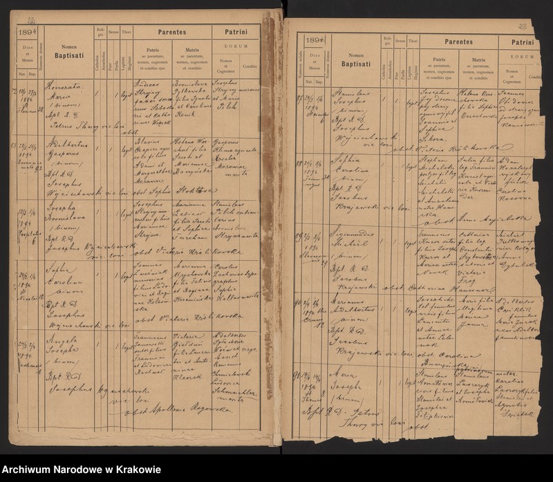 Obraz 15 z jednostki "Wtoropisy Ksiąg urodzonych par. N. P. Marii z lat 1890-1894"