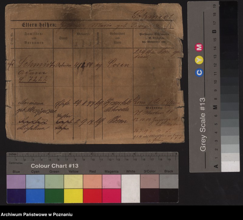 Obraz 6 z jednostki "Szmidt (żonaci)"