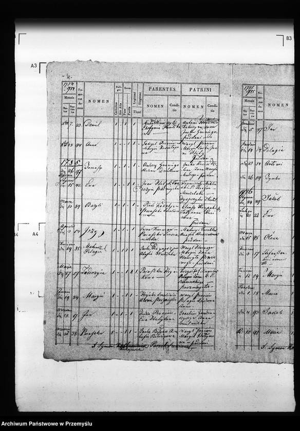 Obraz 9 z jednostki "[Kopie ksiąg metrykalnych parafii Szczerzec z filią Parypsy (dekanat Niemirów)]"