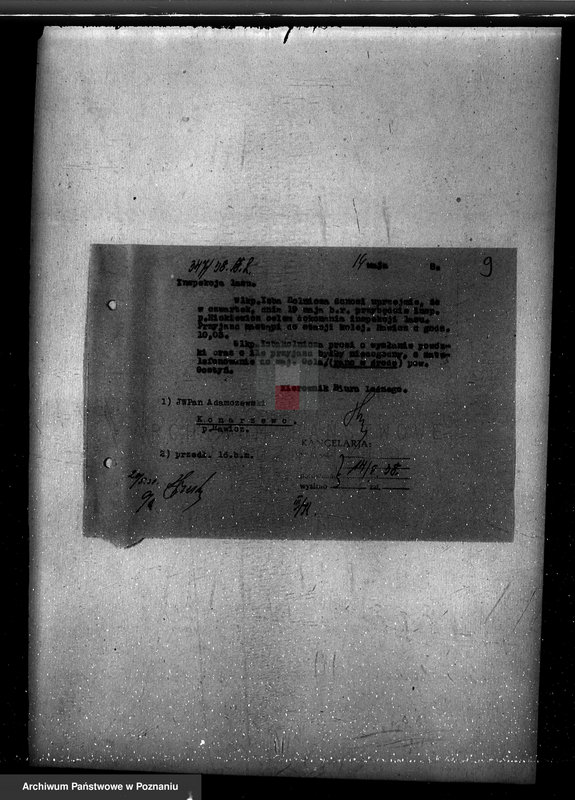 Obraz 13 z jednostki "Nadzór nad gospodarką w lasach Konarzewa powiatu rawickiego"