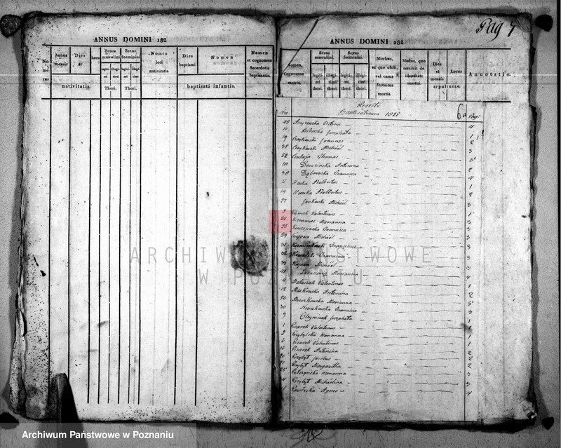 image.from.unit.number "Duplikat baptisatorum, copulatorum u. mortuorum"