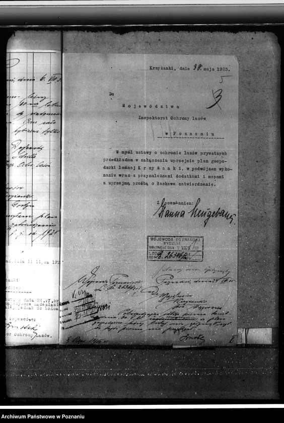 Obraz 9 z jednostki "Majętność leśna Krzyżanki w powiecie gostyńskim"