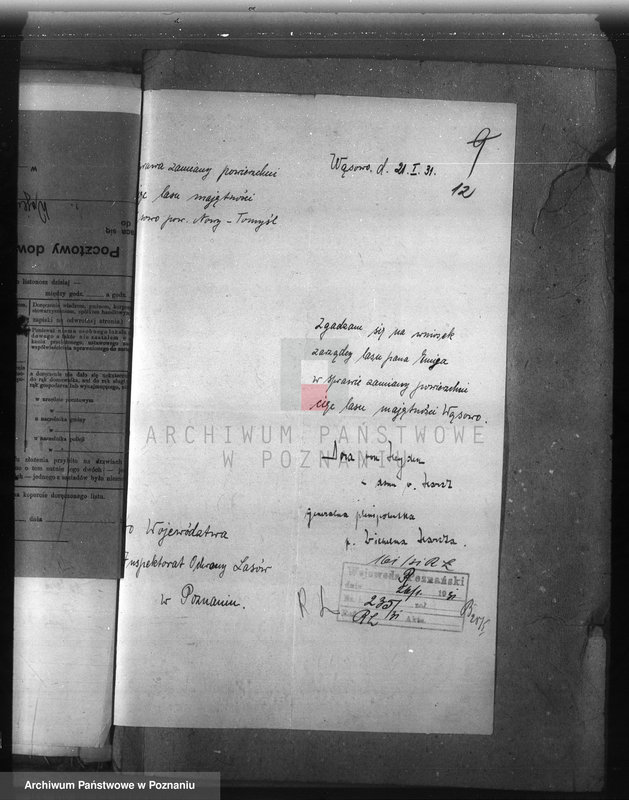 Obraz 17 z jednostki "Majętność leśna Wąsowo w powiecie nowotomyskim"