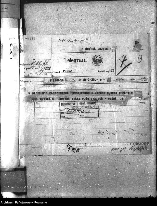 Obraz 13 z jednostki "Zaraza płucna - Strzelno"