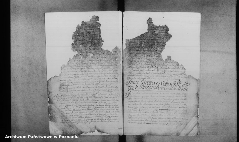 Obraz 5 z jednostki "Decreta officii [inducta]"