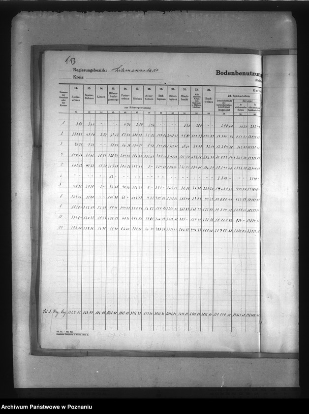 Obraz 16 z jednostki "Statystyka użytków rolnych w Kraju Warty"