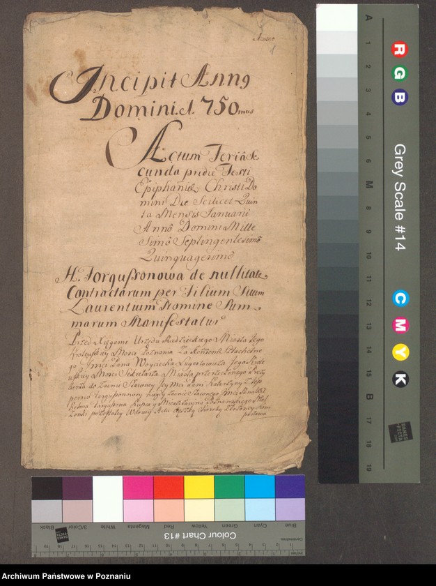 Obraz 3 z jednostki "Acta coram officio consulario Posnaniensi."