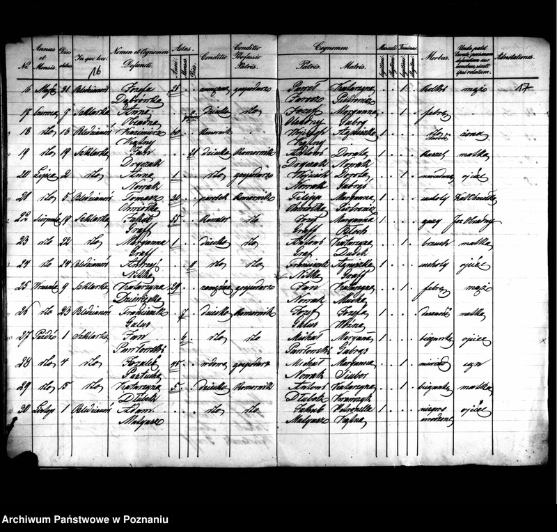 image.from.unit.number "Duplikaty zaślubionych, urodzonych, zmarłych"