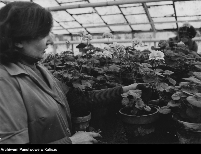 Obraz 5 z kolekcji "Kobiety na archiwalnych zdjęciach111"