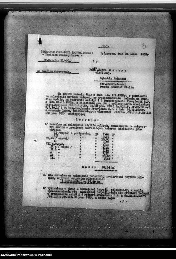 Obraz 7 z jednostki "/Las majątku Dąbrówka-Kujawska/"