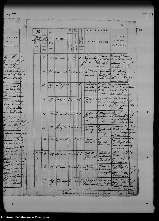Obraz 9 z jednostki "[Kopie ksiąg metrykalnych parafii Ostrów z filiami Łowce, Morawsko, Tuczempy (dekanat Radymno)]"