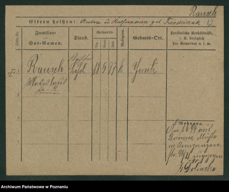 Obraz 14 z jednostki "Rausch - Reclik"