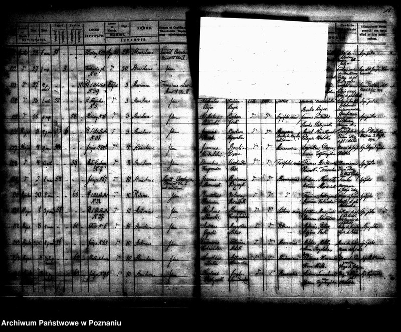 Obraz 13 z jednostki "Księga urodzin"