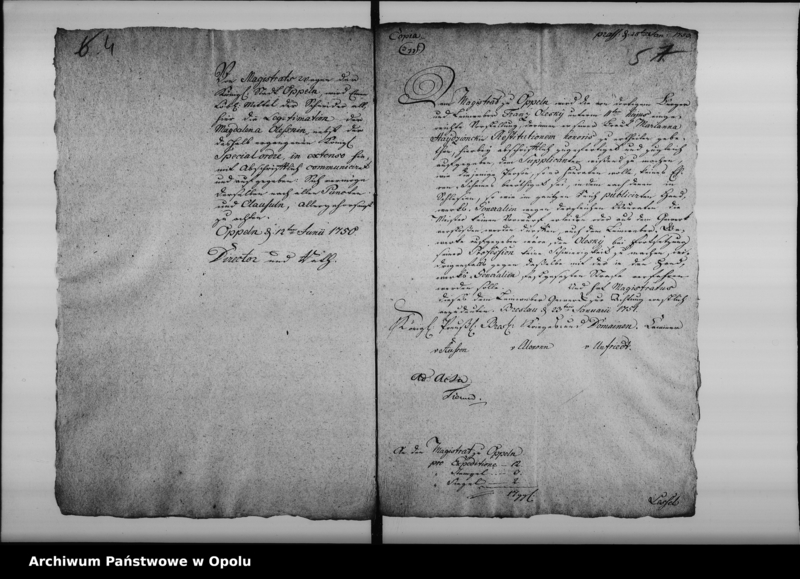 Obraz 8 z jednostki "Acta die Decreta Legitimationis natalium bei Zünften betreffend 1750-1795"