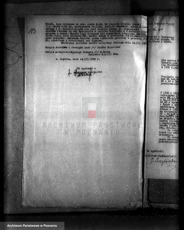 Obraz 18 z jednostki "Gmina Niewiesz powiat turecki /nadzór nad gospodarką leśną/"