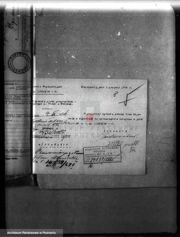 Obraz 12 z jednostki "Majętność leśna Mniszki w powiecie międzychodzkim"