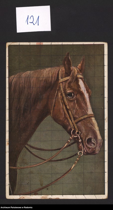 Obraz 2 z kolekcji "Nie tylko w galopie..."