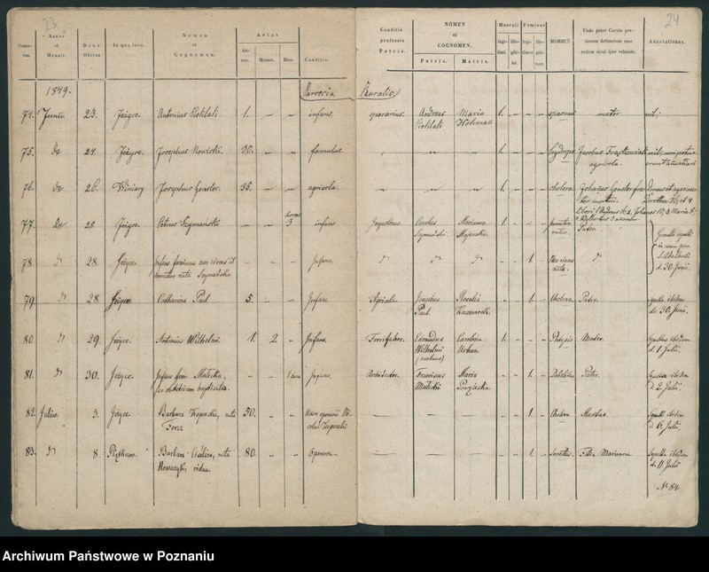 Obraz 14 z jednostki "Księga zgonów"