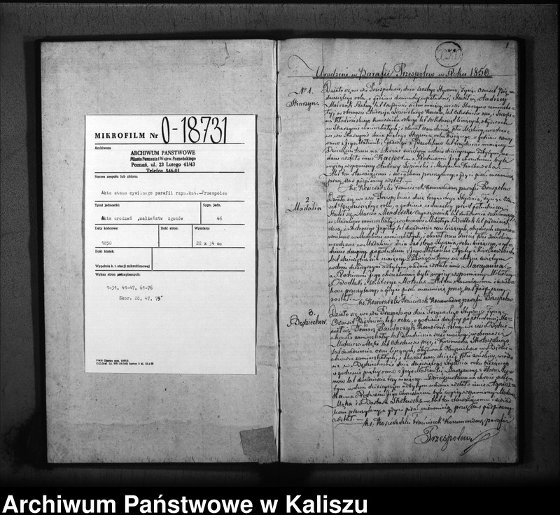 Obraz 3 z jednostki "Księga duplikat urodzonych, zaślubionych i zmarłych"