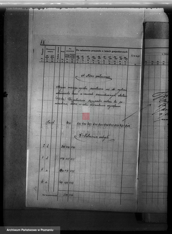 Obraz 15 z jednostki "Plan urządzenia gospodarstwa leśnego dla lasu majętności Zbąszyn-Perzyny powiat nowotomyski 1929-1939"