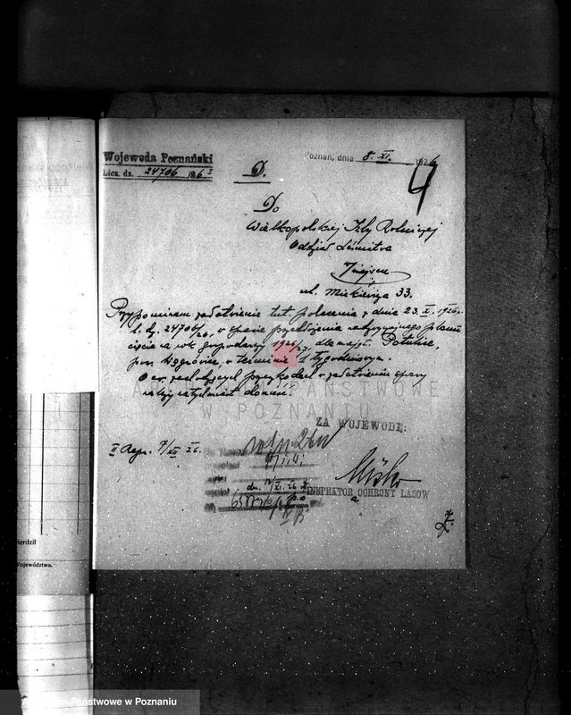 Obraz 8 z jednostki "Majętność leśna Potulice powiat wągrowiecki"