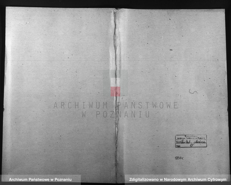 image.from.unit.number "Duplicatus baptisatorum, copulatorum, mortuorum"