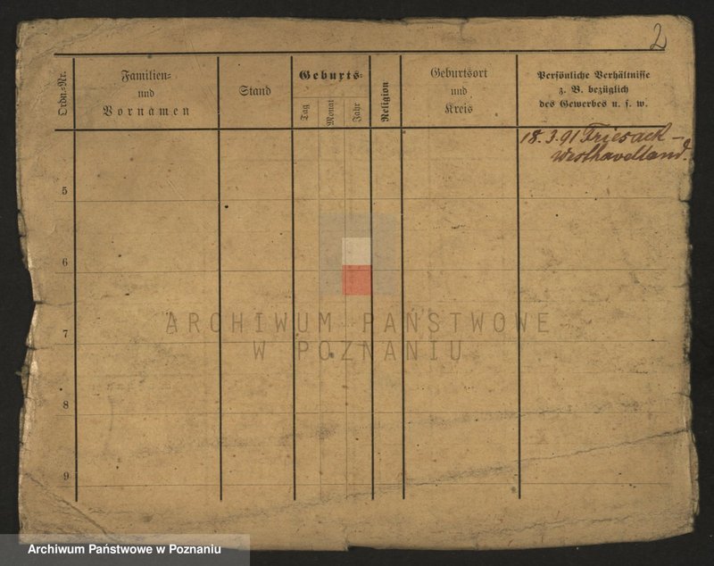 Obraz 4 z jednostki "Gaab - Gaciorkowski"