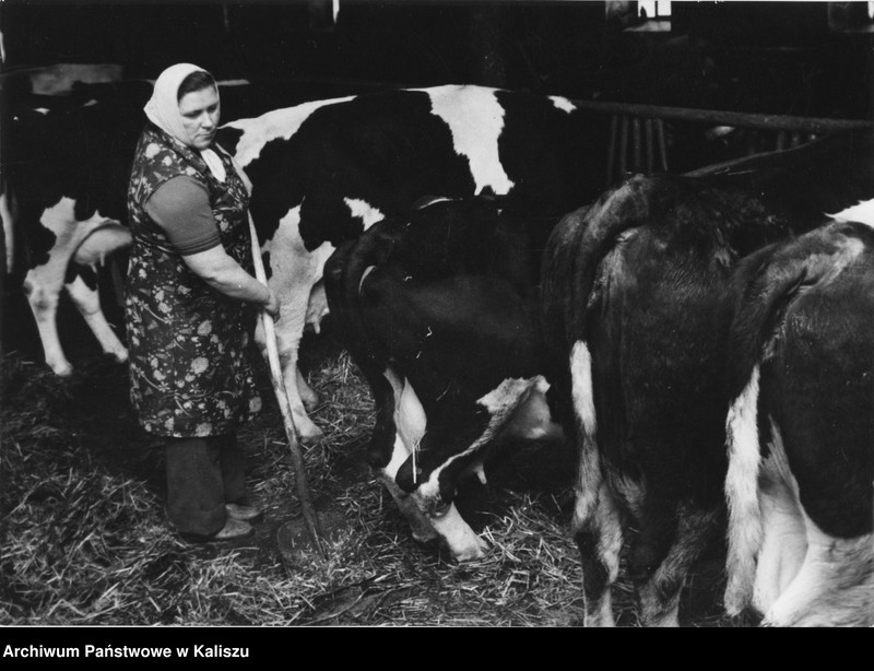 Obraz 6 z kolekcji "Kobiety na archiwalnych zdjęciach111"