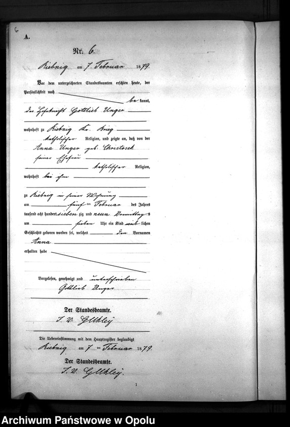 Obraz 9 z jednostki "Geburts-Neben-Register Standes-Amt Riebnig 1879"
