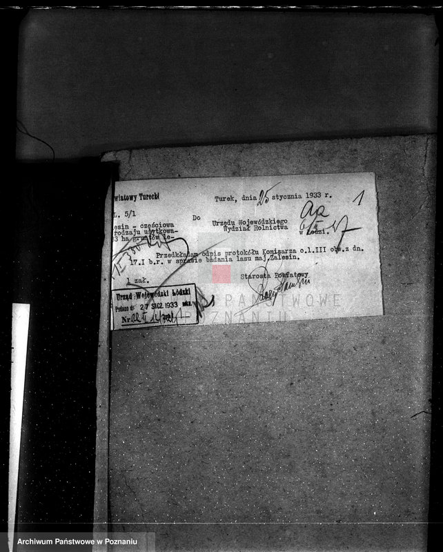 Obraz 5 z jednostki "Częściowa zmiana rodzaju użytkowania 5,83 ha gruntów leśnych w majątku Zalesin powiat turecki"