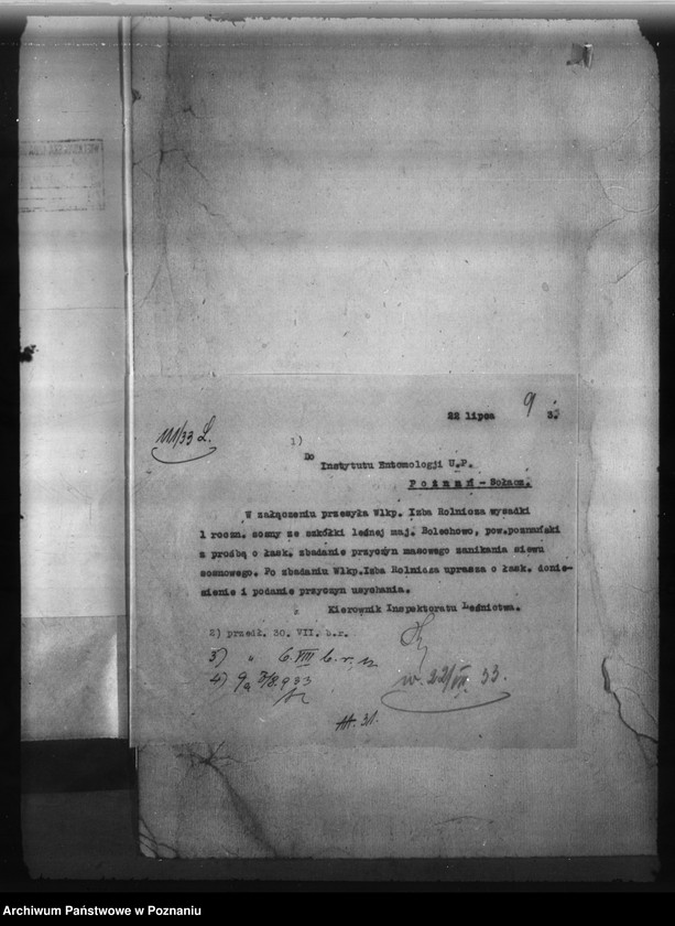 Obraz 13 z jednostki "Bolechowo powiat poznański /nadzór nad gospodarką leśną/"